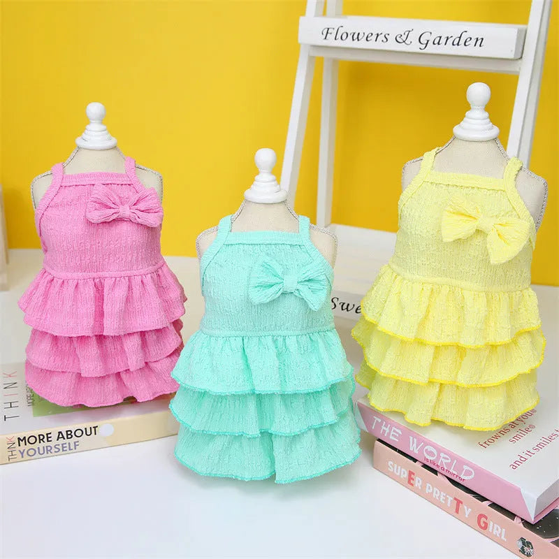 Small white dog wearing a rose red layered princess dress with a candy skirt design