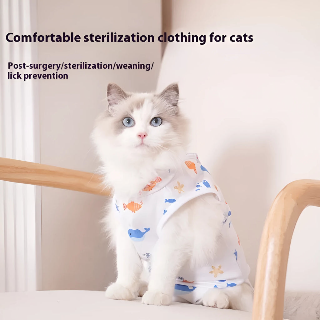 Cat wearing a soft polyester sterilisation recovery suit with Velcro fastening on its side.