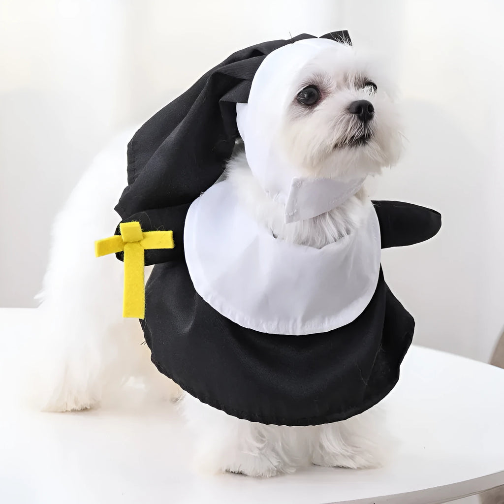Black polyester nun Halloween costume on small dog showing complete habit design