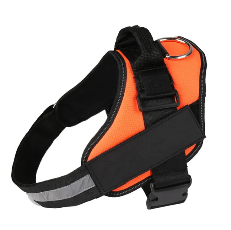 Personalised reflective nylon no-pull dog harness vest on a dog, showing adjustable straps and D-ring.