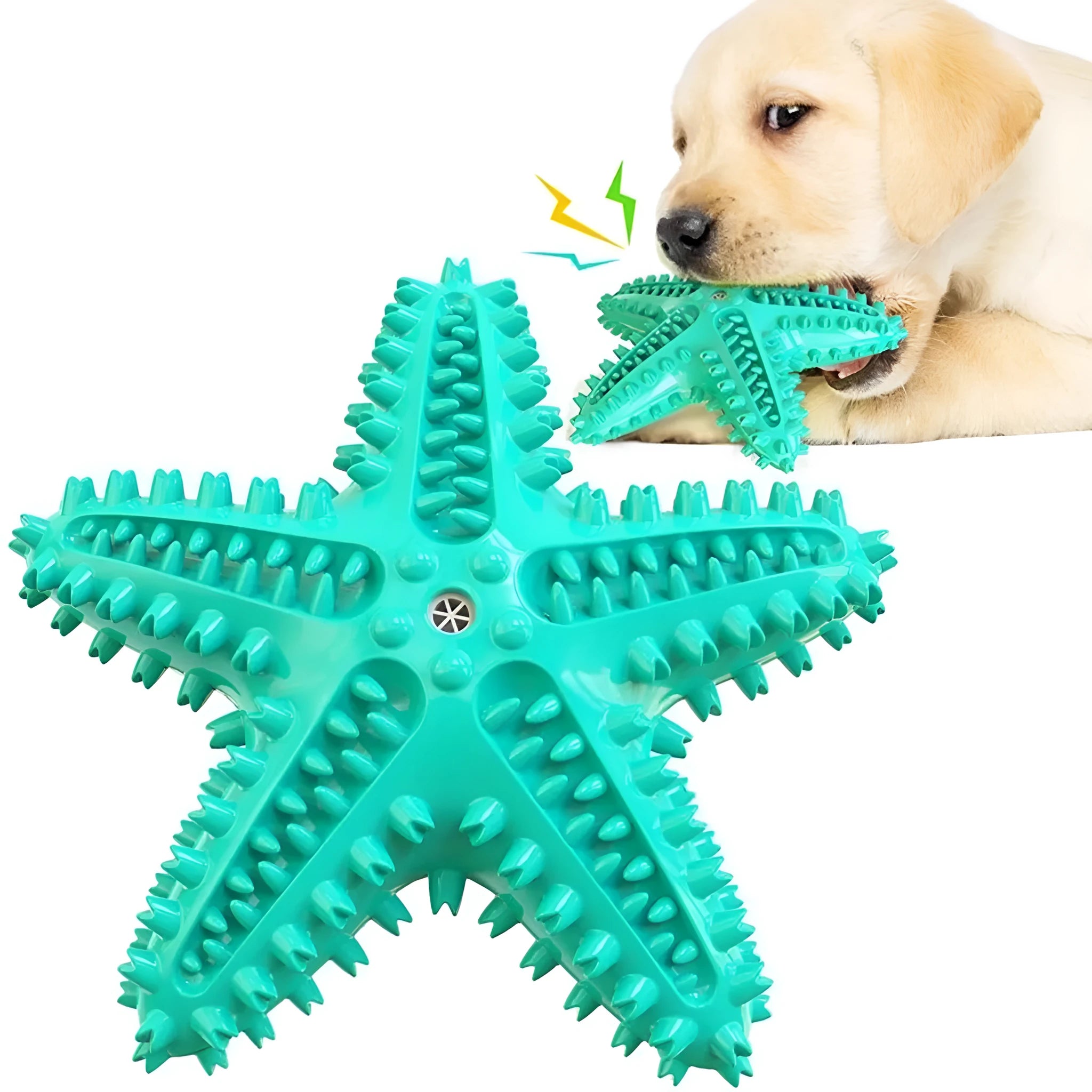 Blue edible TPR starfish dog chew toy with squeaker for dental cleaning