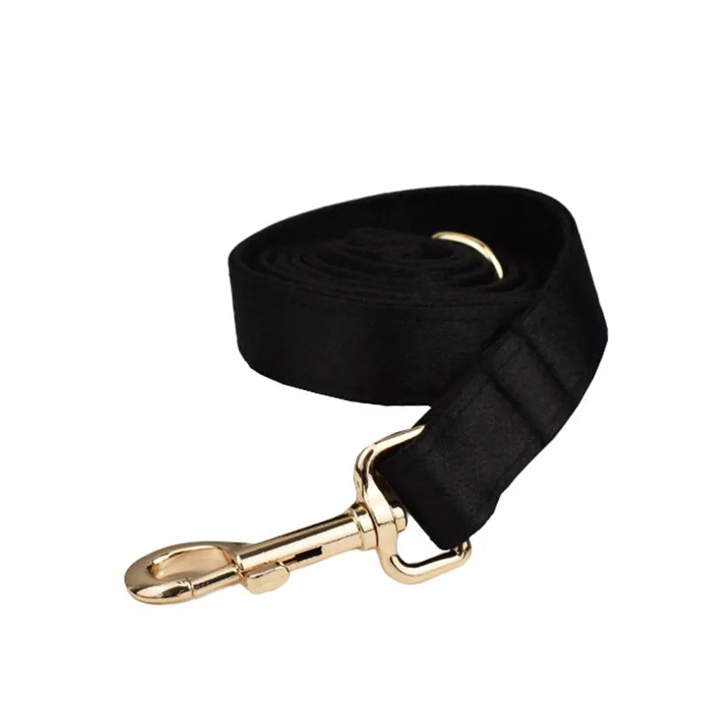Dog wearing cloth collar and chest-strap vest harness with matching leash and decorative bow attached