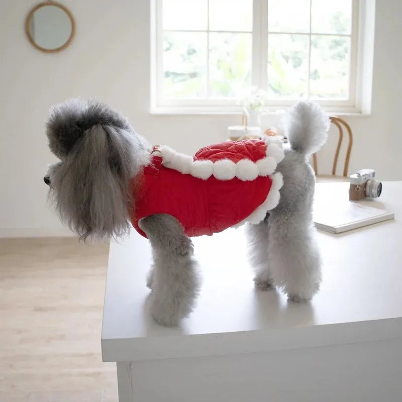 Red Chinese-style pet clothing with thick fur collar and knot detailing for dogs and cats