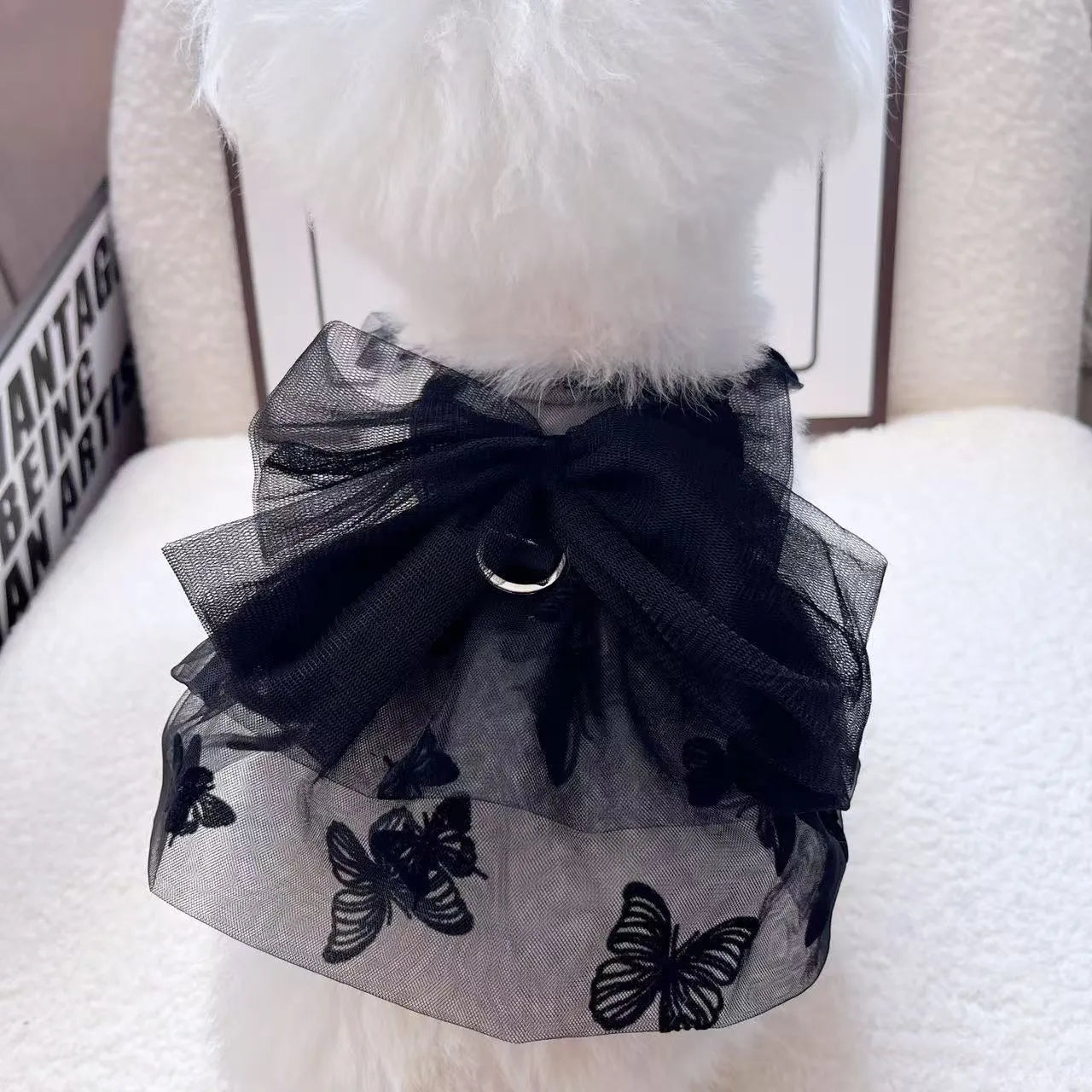 Black gauze tulle princess skirt on a small dog, showing layered design and fit.
