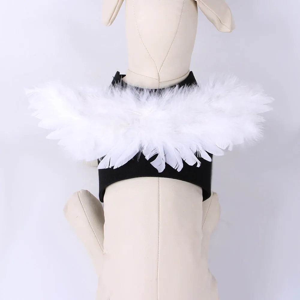Black and white Halloween angel wings costume for dogs on chest and back.