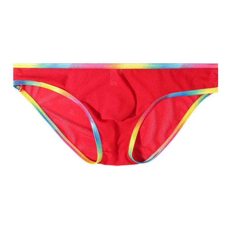 Mesh transparent women's briefs in multiple colours showing knitted nylon fabric.