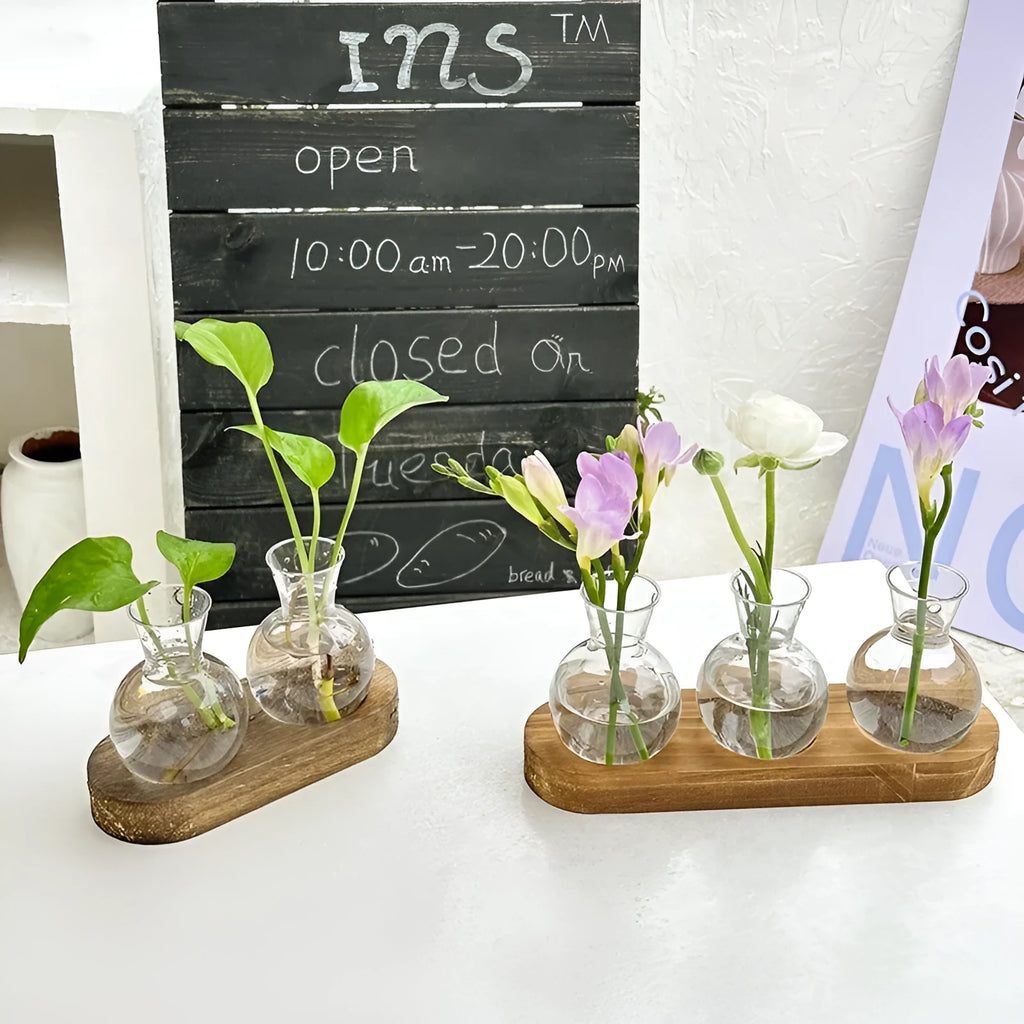 Transparent hydroponic vase in wooden frame for water plant display