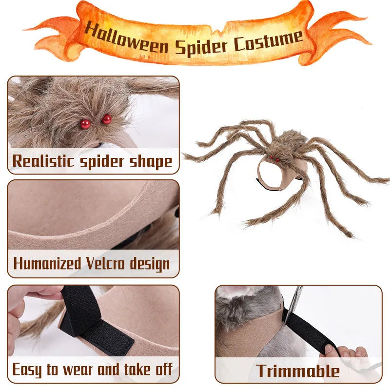 Grey Halloween spider costume for a small dog, showing the eight-legged design.