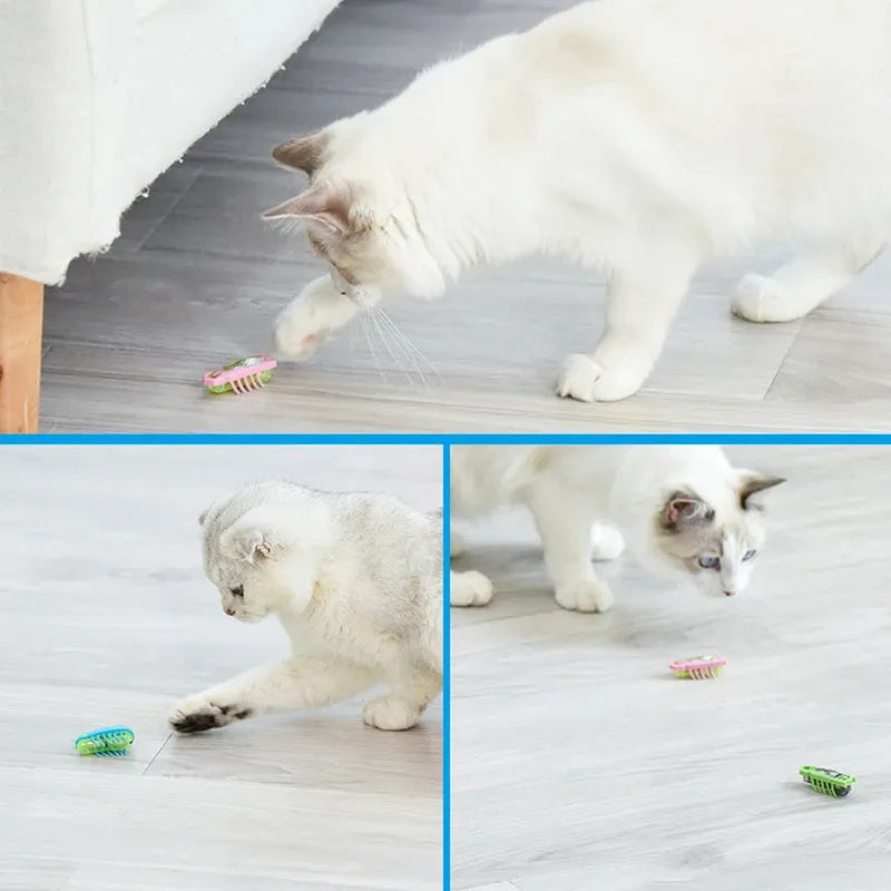 Electric crawling bug cat toy with ladybug shape on hard surface