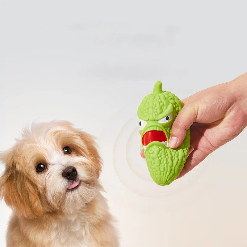 Bitter gourd or chilli shaped dog chew toy with textured surface for tooth cleaning and integrated sound.