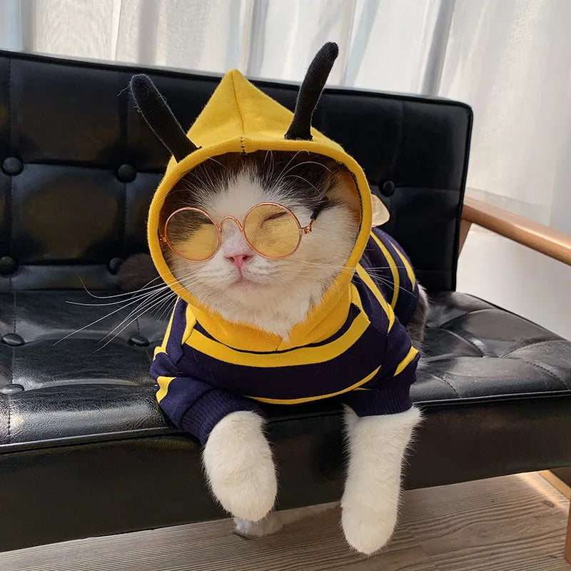 Plush bee dog hoodie in yellow striped cotton, winter pet coat for bulldog puppy cat, sizes XS to XXXL.
