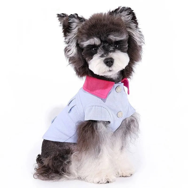 Blue and purple polyester summer dog vest with integrated traction rope ring for small dogs