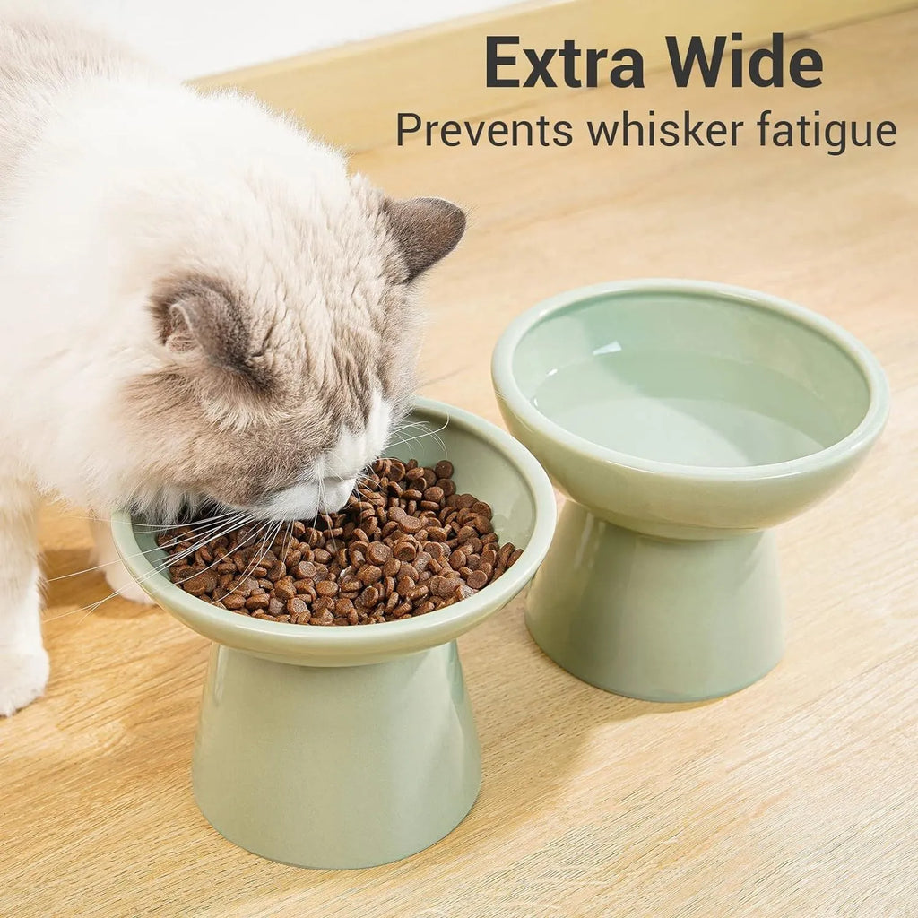 Ceramic elevated cat food bowl in blue colour with wide shallow design and raised base