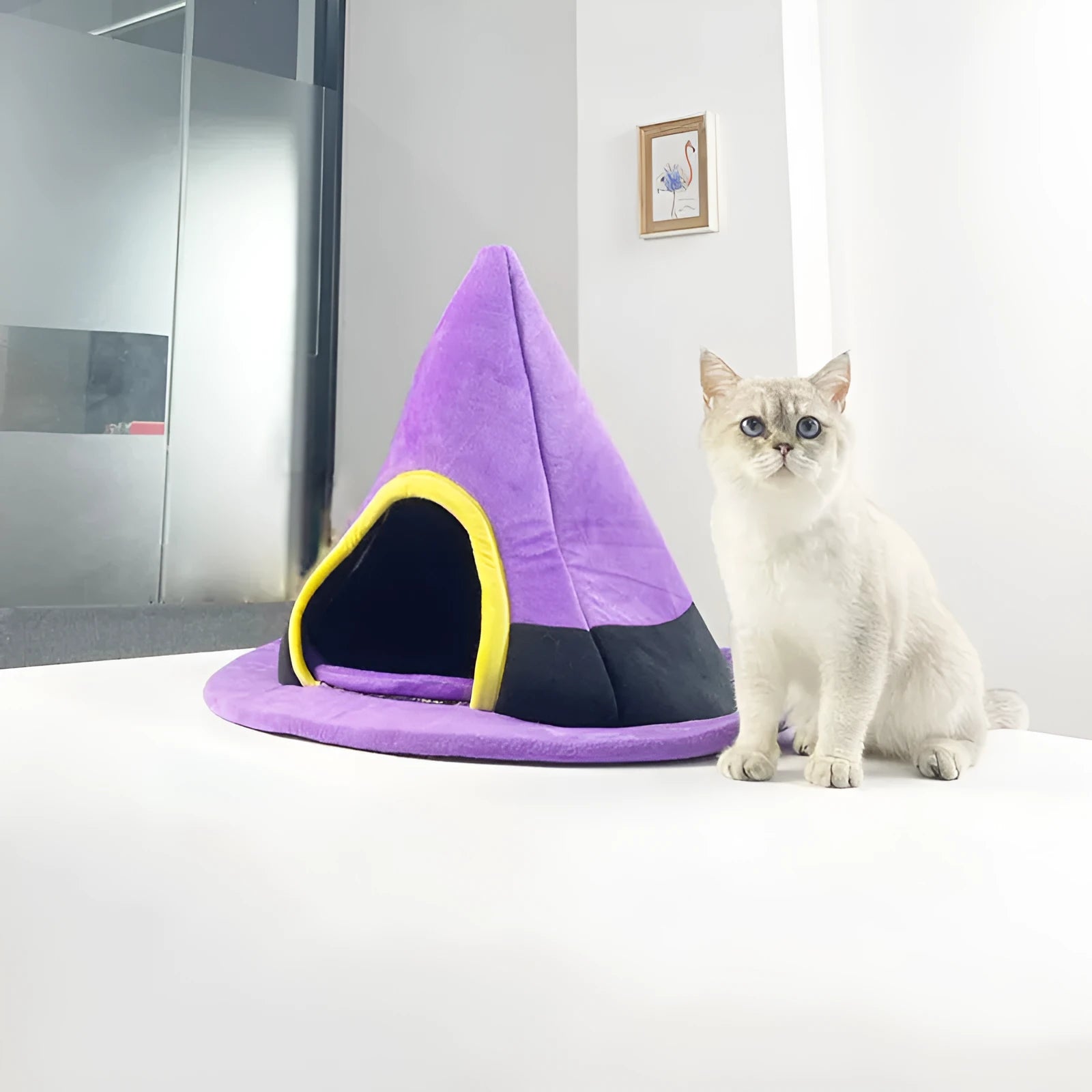 Purple cloth Halloween witch hat shaped cat bed measuring 60 by 45 centimetres.
