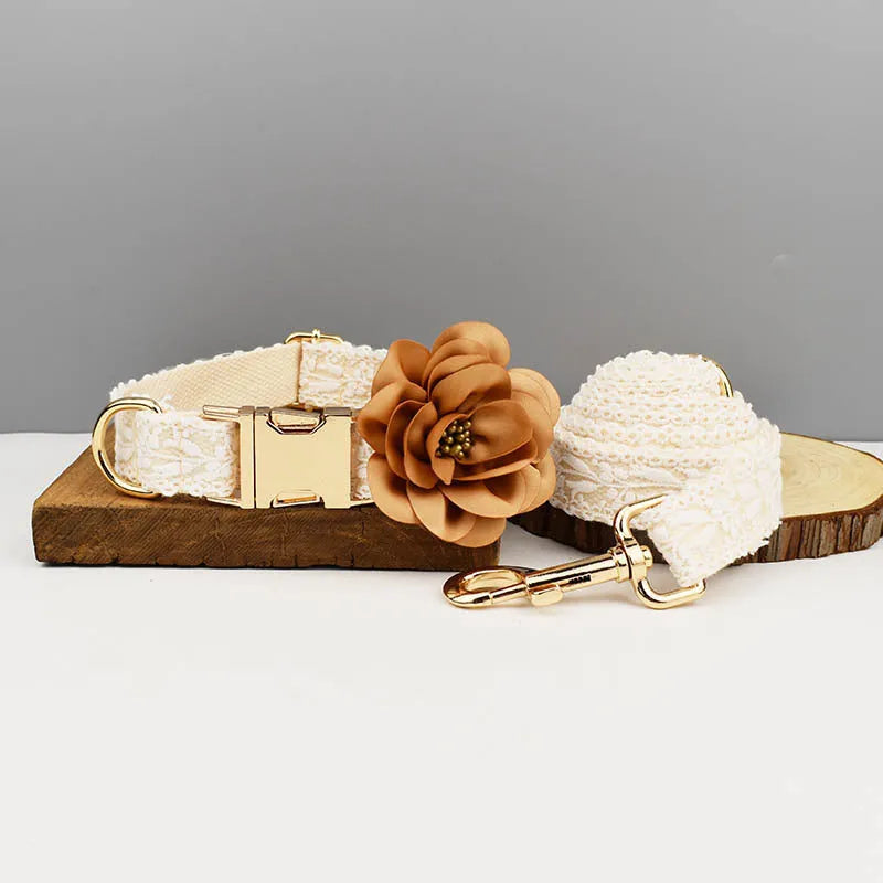 Lace pet wedding vest and collar set with floral decorations on dog model