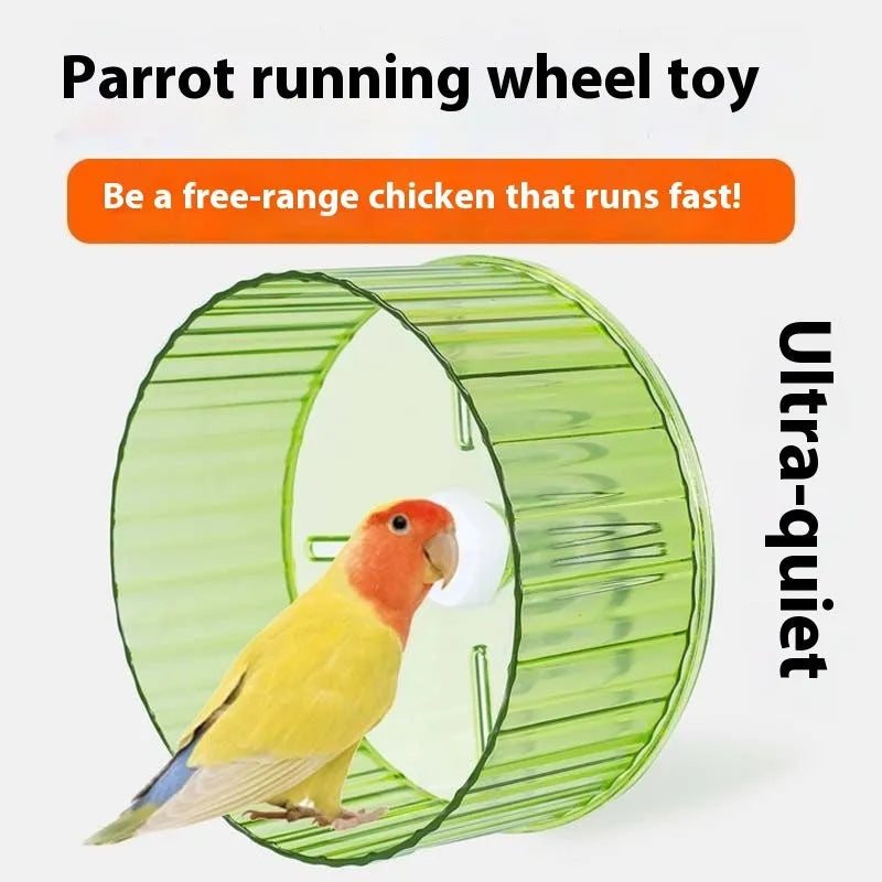 A plastic running wheel toy for parrots and birds, shown in multiple colour options.