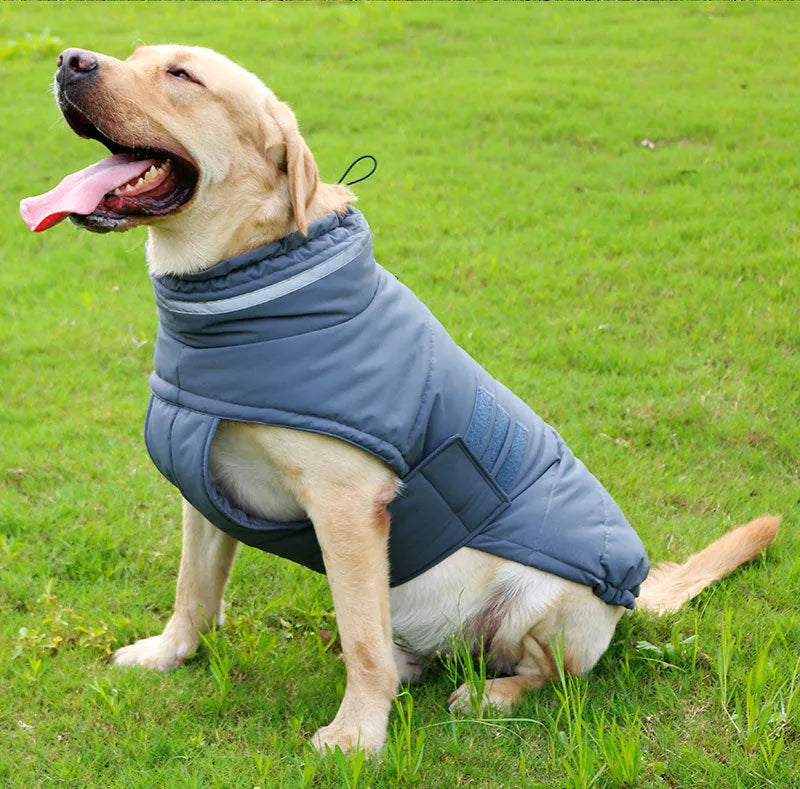 Cold-proof rain-proof pet coat for big dogs in grey trench style outdoor