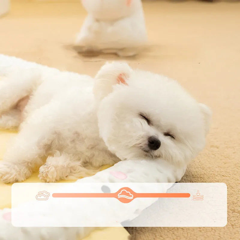 Orthopedic dog bed with supportive foam mattress and removable cover in sofa style