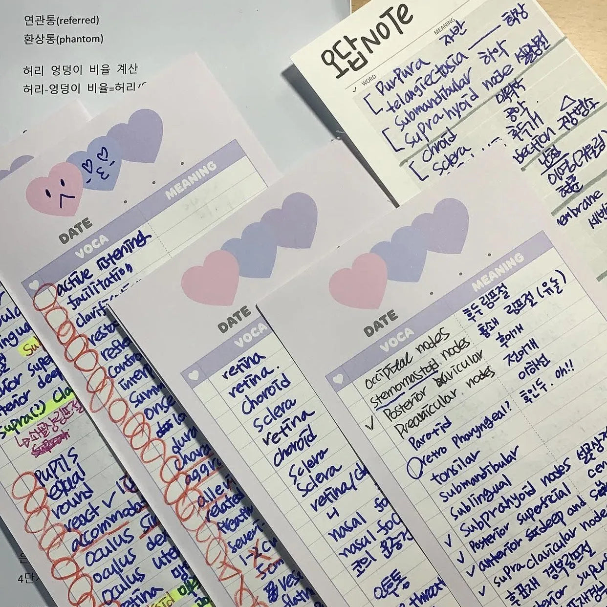 Vertical English word notepad in blue, pink, or purple cover, showing double-sided printed pages.