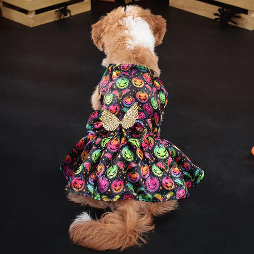 Orange and black Halloween dog costume with angel wings, shown in bright pumpkin and bright bat colours.