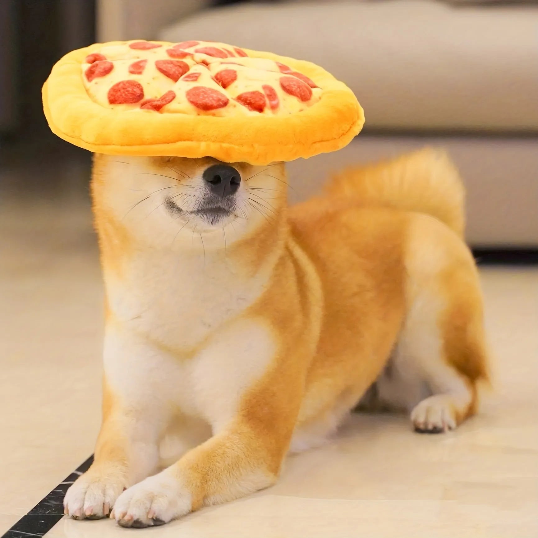 Yellow pizza-themed plush dog toy with squeaker for chewing and interactive play