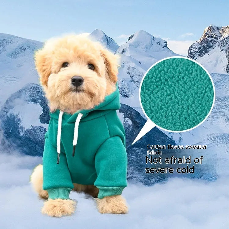Hooded dog sweater in trueran spandex, shown in green, black, grey, and red, sizes S to XL