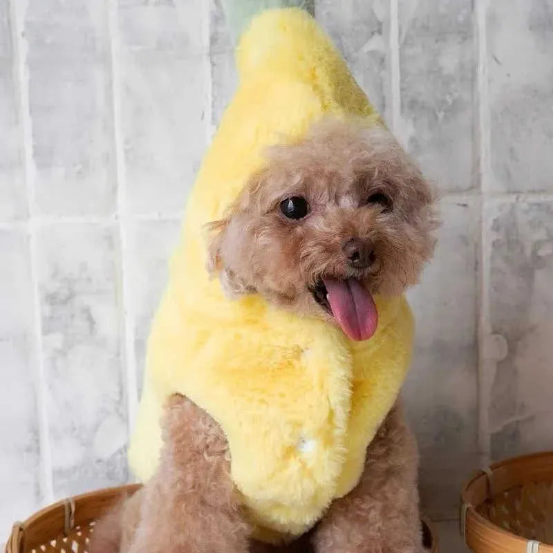 Yellow polyester funny banana dog costume for autumn winter, available in sizes S M L XL