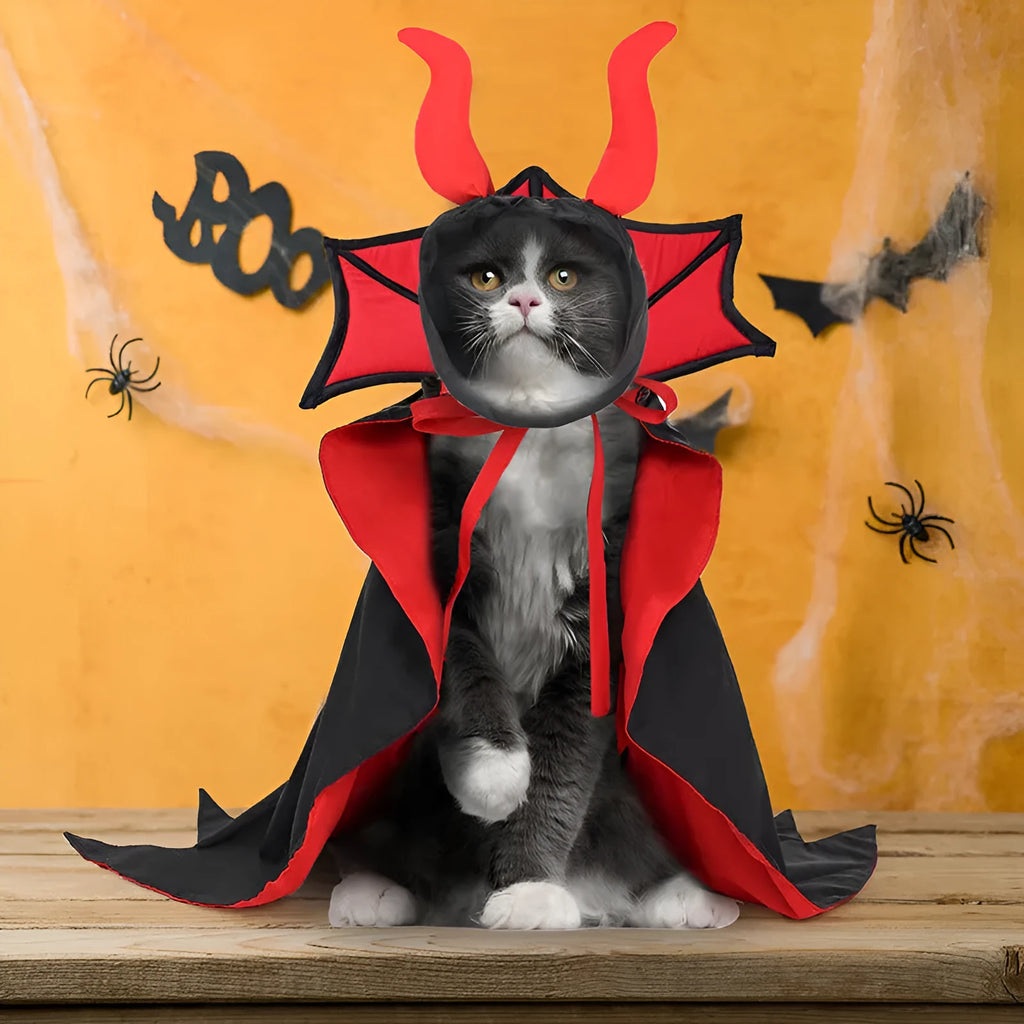 Black vampire cloak and matching hat costume for a small dog or cat on Halloween.