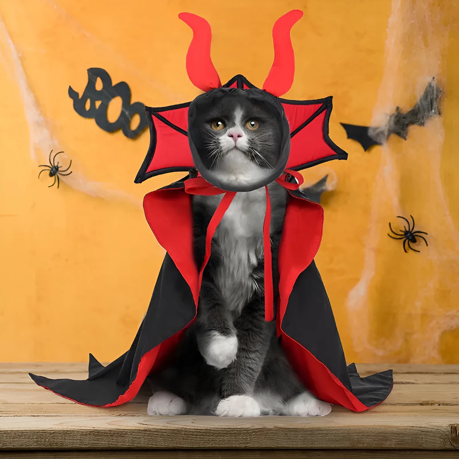 Black vampire cloak and matching hat costume for a small dog or cat on Halloween.
