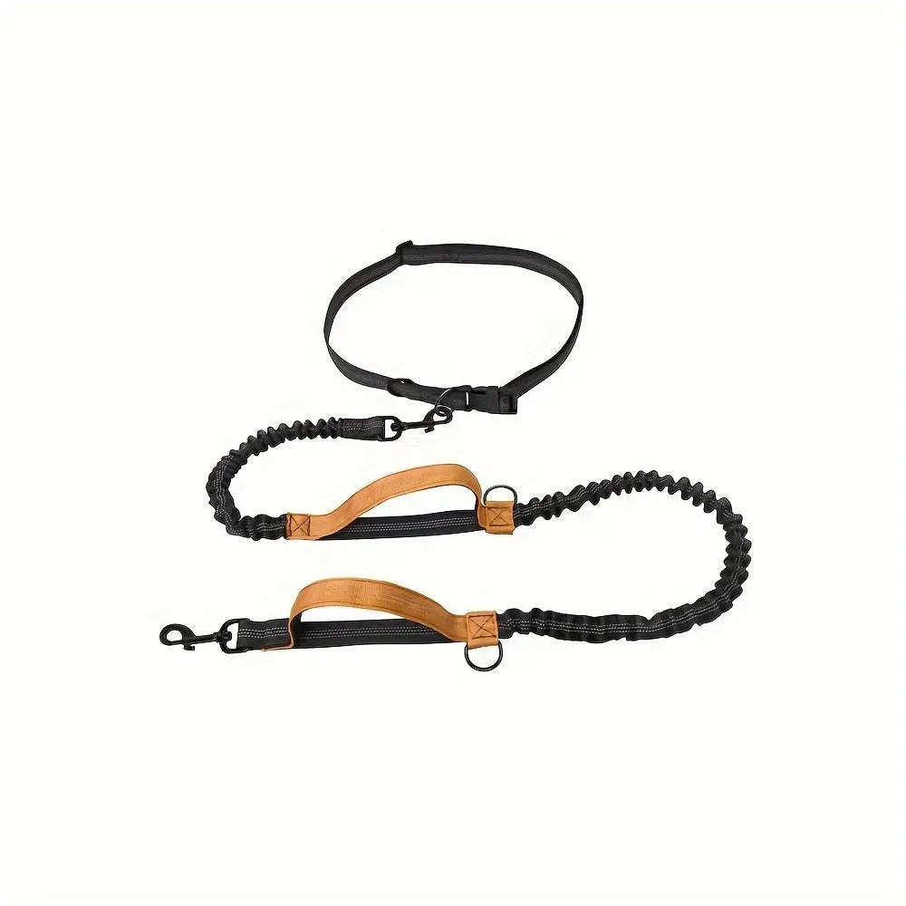 Hands-free dog leash with adjustable waist belt showing reflective trim and quick-release clip