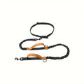 Hands-free dog leash with adjustable waist belt showing reflective trim and quick-release clip