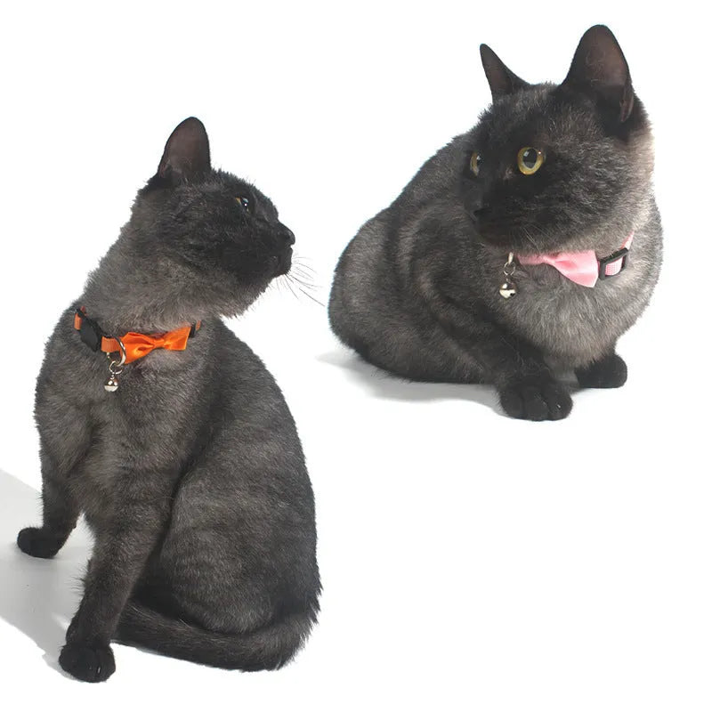 Multi-colour adjustable cat collar with bell and striped pattern in nylon material