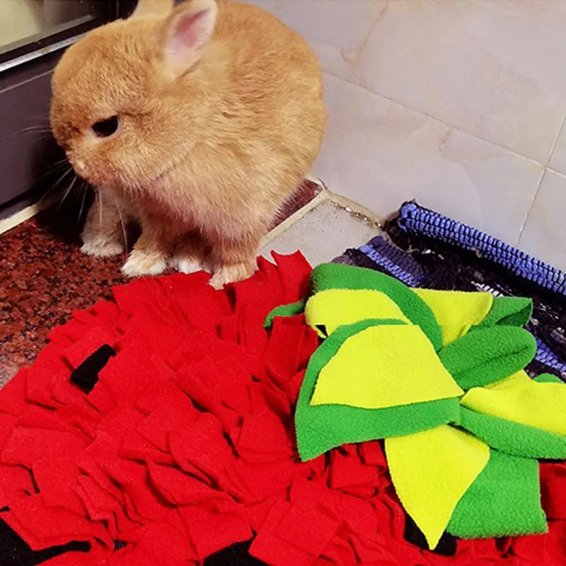 Red and green strawberry-shaped pet snuffle mat with hiding spots for interactive feeding