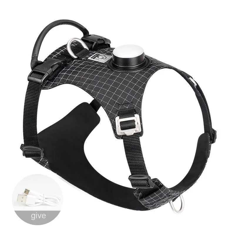 Nylon dog harness with LED light on dog's chest, shown in light purple, for nighttime walks.