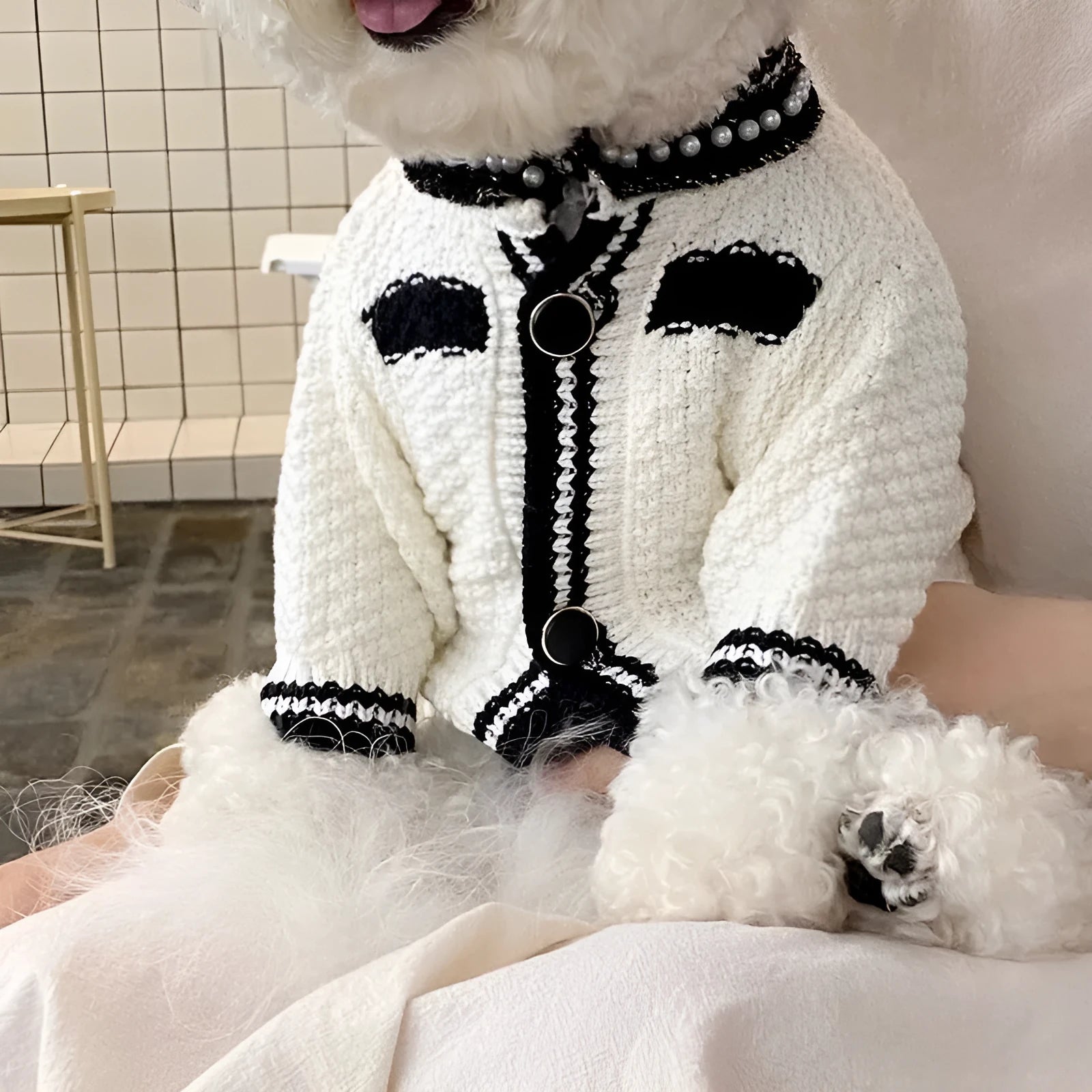 Korean style puppy clothes pearl collar sweater for small dogs in black or white with princess design