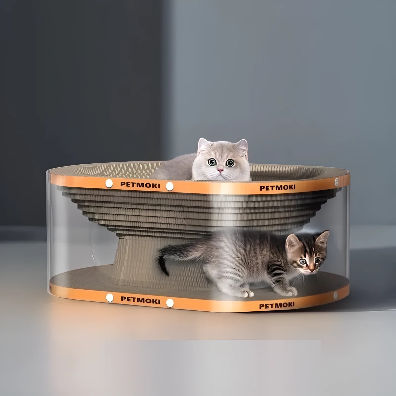 White transparent PVC tunnel cat nest attached to a large corrugated cardboard scratch board