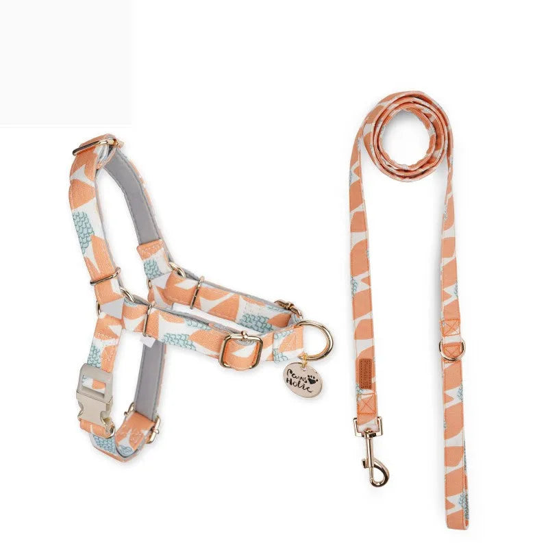 Polyester dog chest strap harness in Early Snow colour with hand-holding rope, side view on floor