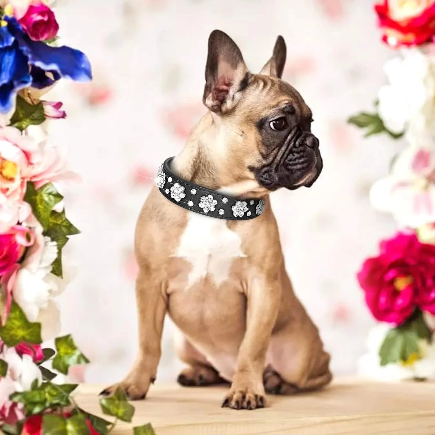 Black PU leather dog collar with rhinestone flower pattern and studs, adjustable for small dogs.