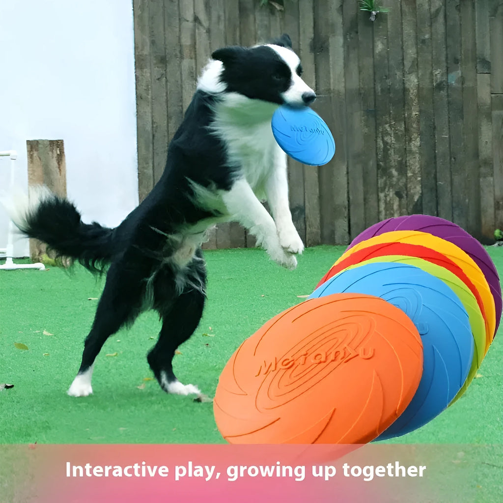 Soft rubber dog frisbee toy in red blue green colours showing small medium large size options