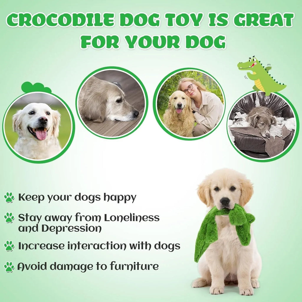 Green crocodile-shaped plush dog toy with a squeaker in the head and crinkle paper in the tail.