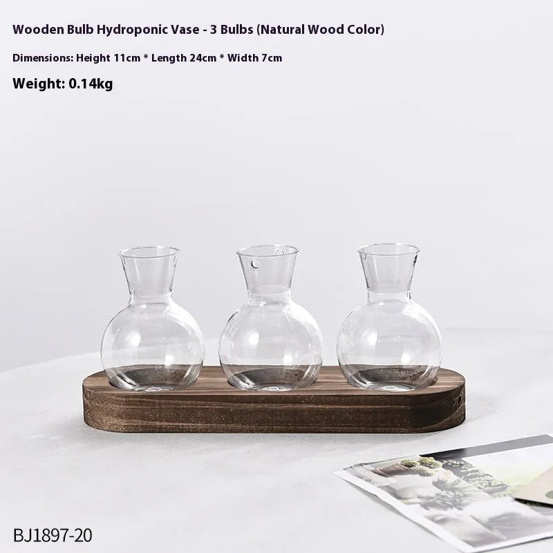 Transparent hydroponic vase in wooden frame for water plant display