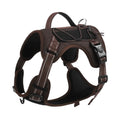 Orange reflective dog harness with explosion-proof design and a black hand-holding rope attached.