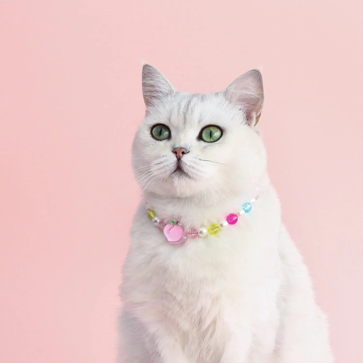 Colourful plastic bead pet necklace in small flower, rainbow, or peach design on an adjustable collar