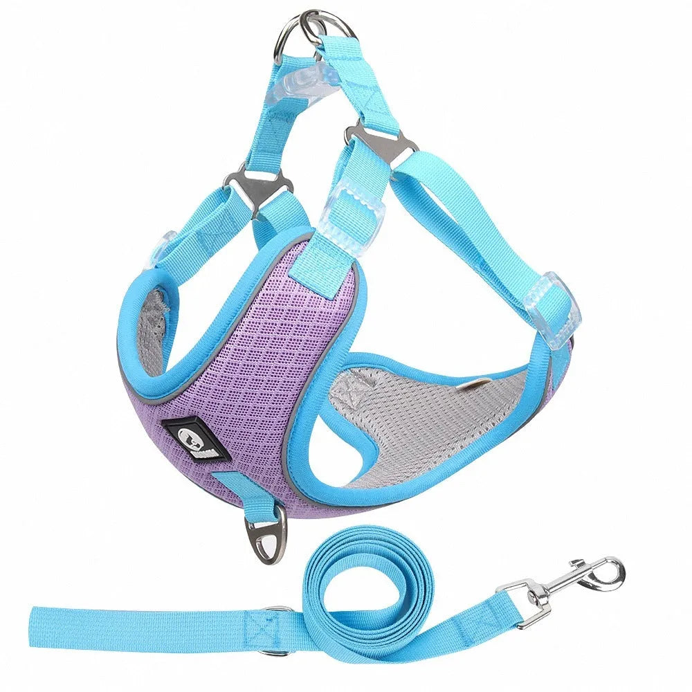 Adjustable mesh dog harness with reflective piping in black colour on small dog